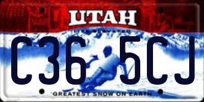 UT license plate C365CJ