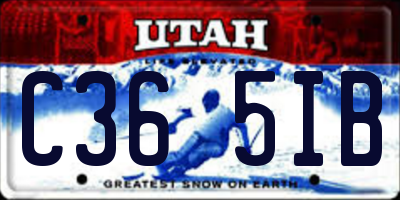 UT license plate C365IB