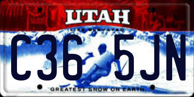 UT license plate C365JN