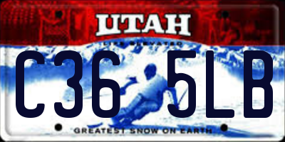 UT license plate C365LB