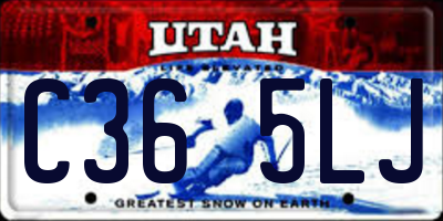 UT license plate C365LJ