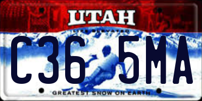 UT license plate C365MA