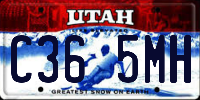 UT license plate C365MH