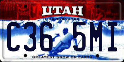 UT license plate C365MI