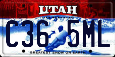 UT license plate C365ML