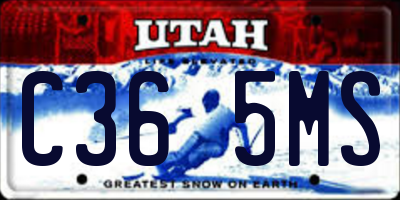 UT license plate C365MS