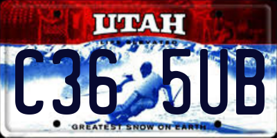 UT license plate C365UB
