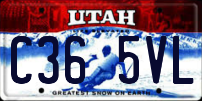 UT license plate C365VL
