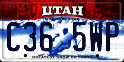 UT license plate C365WP