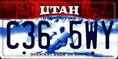 UT license plate C365WY