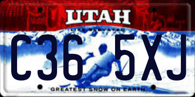 UT license plate C365XJ