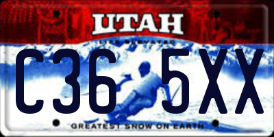 UT license plate C365XX