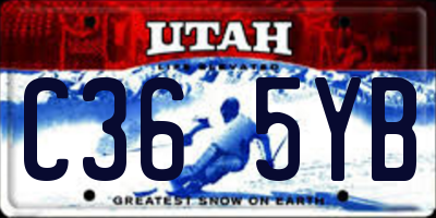UT license plate C365YB