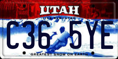UT license plate C365YE