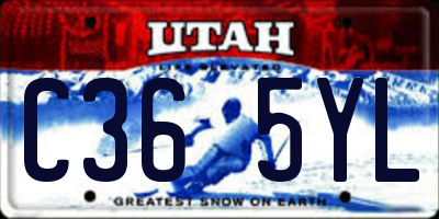 UT license plate C365YL