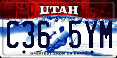 UT license plate C365YM