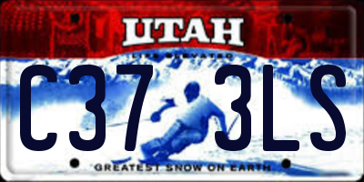 UT license plate C373LS