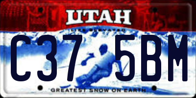 UT license plate C375BM
