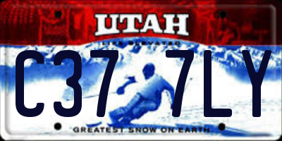 UT license plate C377LY