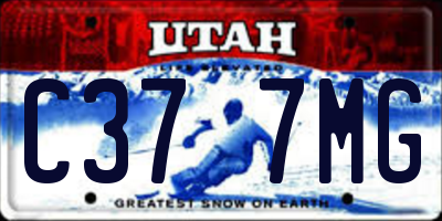 UT license plate C377MG