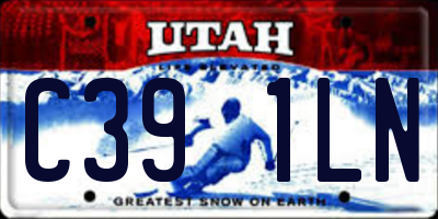 UT license plate C391LN
