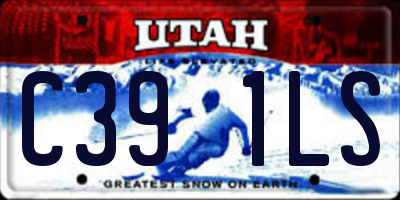 UT license plate C391LS