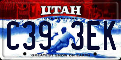 UT license plate C393EK