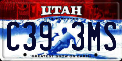 UT license plate C393MS