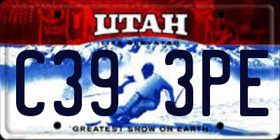 UT license plate C393PE