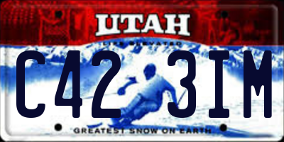 UT license plate C423IM