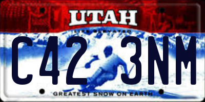 UT license plate C423NM