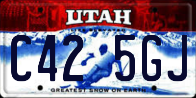 UT license plate C425GJ