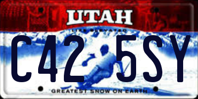 UT license plate C425SY