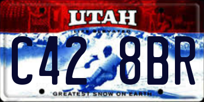 UT license plate C428BR