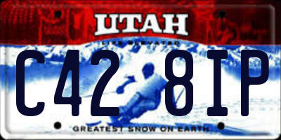 UT license plate C428IP
