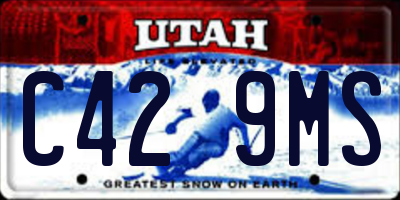 UT license plate C429MS