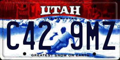 UT license plate C429MZ