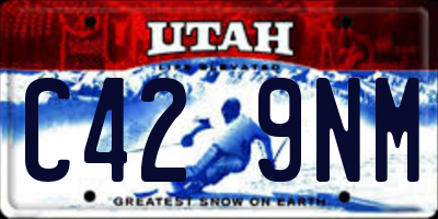 UT license plate C429NM