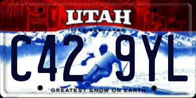 UT license plate C429YL