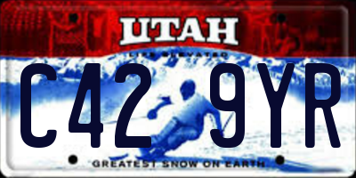 UT license plate C429YR