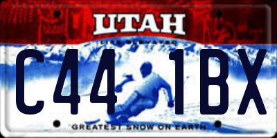 UT license plate C441BX