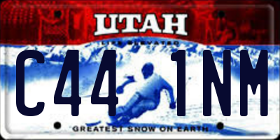 UT license plate C441NM