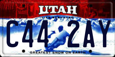 UT license plate C442AY