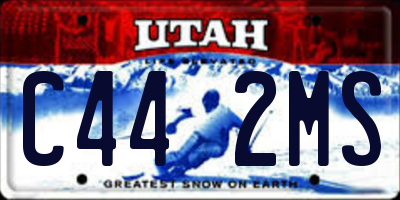 UT license plate C442MS