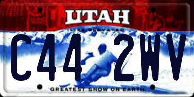 UT license plate C442WV