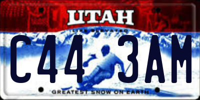 UT license plate C443AM
