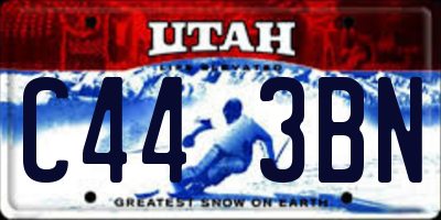 UT license plate C443BN