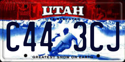 UT license plate C443CJ