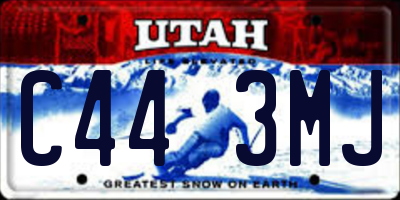UT license plate C443MJ