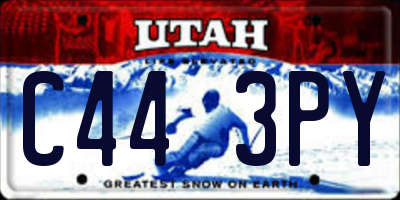 UT license plate C443PY
